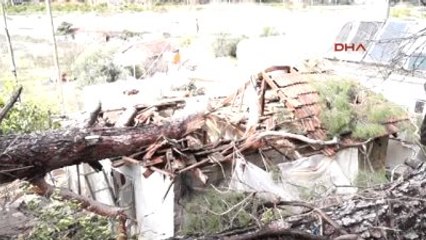 Antalya Ağaç Evin Üzerine Devrildi-2