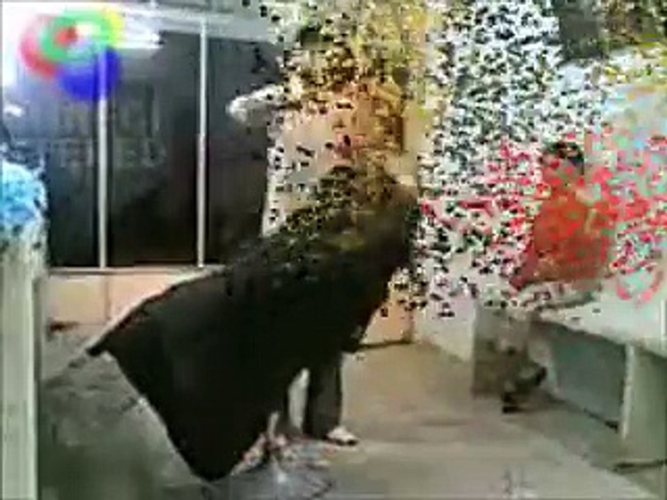 Funny Arab Slaps,