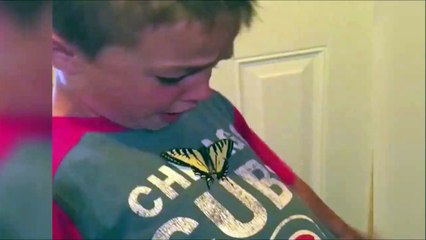 When beauty is utterly terrifying. Poor kid scared by butterfly