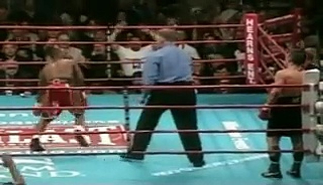 WHEN BOXERS LOSE CONTROL Part 9