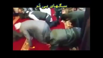 Uydurulan din insanları köpek gibi havlatıyor!