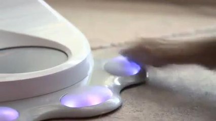 CleverPet - A Console that Teaches and Feeds Your Dog All Day