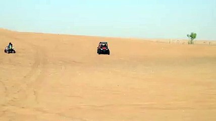 Morning Desert Safari with Buggy Driving