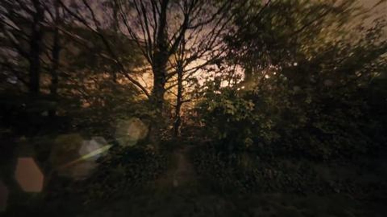 All-New Zombies, Run! Trailer (Android)