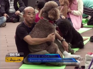 Cães e donos praticam ioga juntos e batem recorde