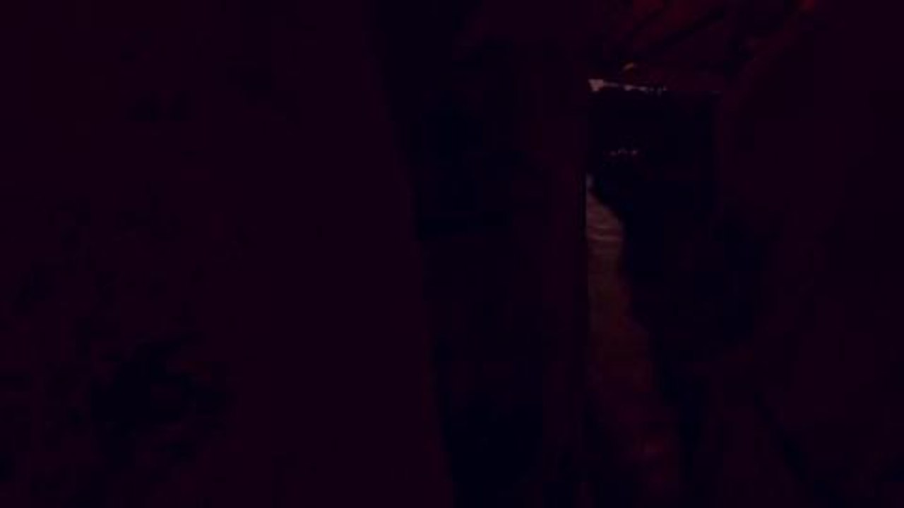 Firewatch Reveal Trailer