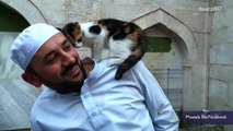 Man opens Mosque doors for stray cats, melting hearts worldwide