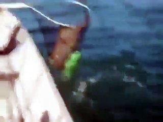 Rescate de un bebé delfín