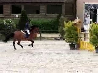 Karisto de L' Aumont  et Axel Haras de Bory D1e