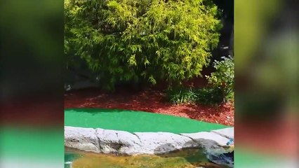 Mini golf awesome and fails compilation Funny