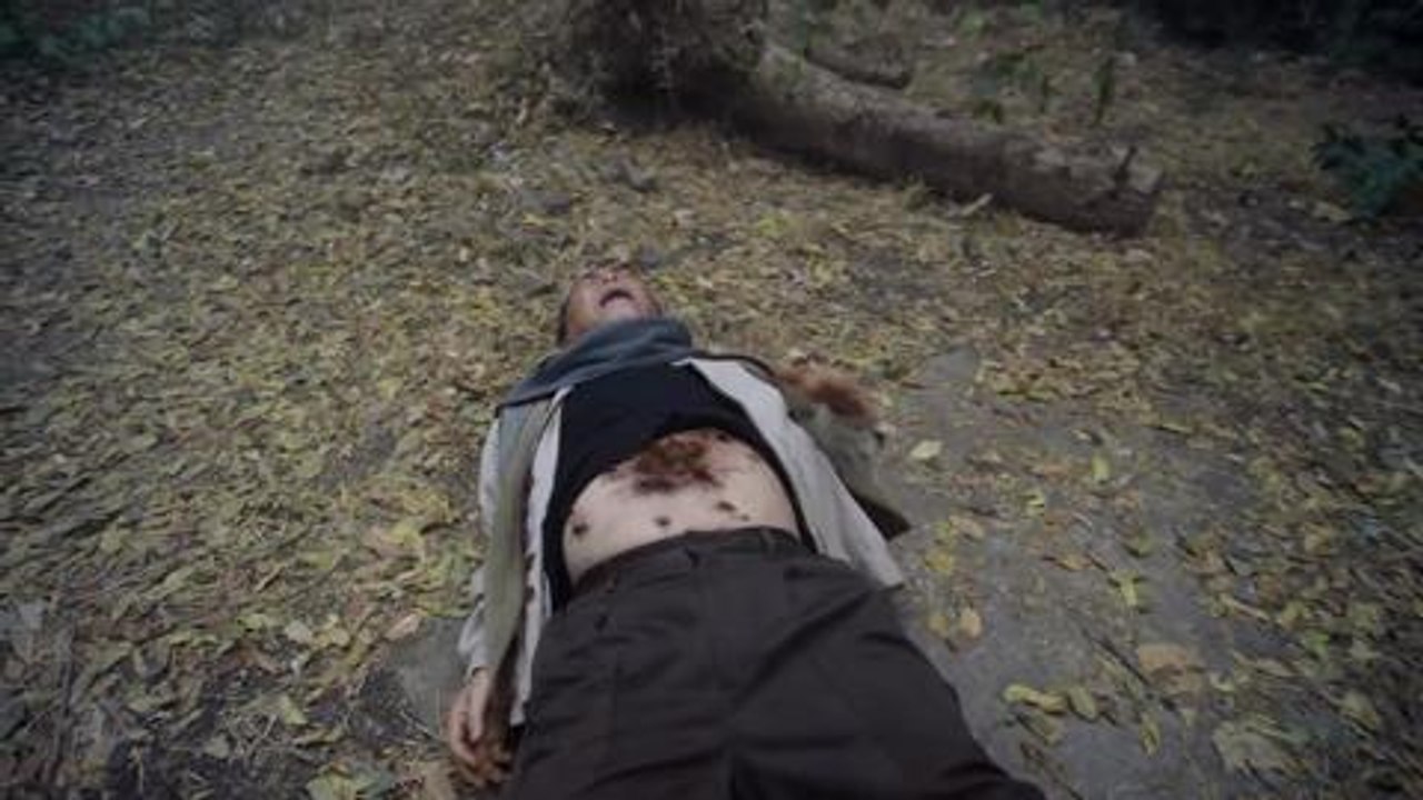 Rabbit Hole  -  Far Cry 4 [ES]