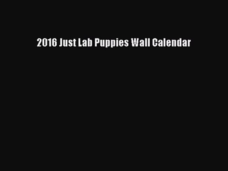 [PDF Download] 2016 Just Lab Puppies Wall Calendar [Read] Full Ebook
