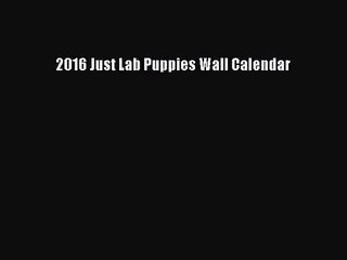 [PDF Download] 2016 Just Lab Puppies Wall Calendar [Read] Full Ebook