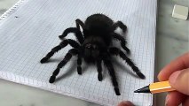 İnanılmaz Gerçekçi 3 Boyutlu Örümcek Çizimi Yok Böyle Bir Şe