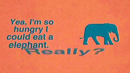 Slightly Exaggerated Stories , Pizza