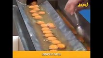 Egg separating and cleaning industrial plant
