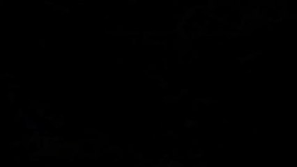 Wander - PS4 trailer