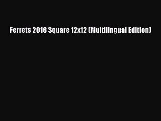 [PDF Download] Ferrets 2016 Square 12x12 (Multilingual Edition) [Download] Full Ebook