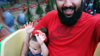 Cute Babies Laughing at Dogs Compilation