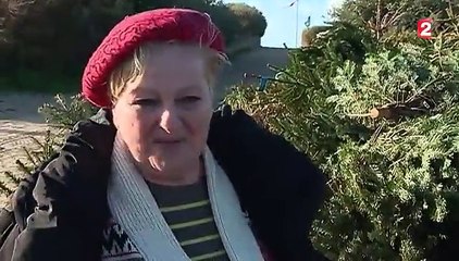 Recyclage : la seconde vie des sapins sur l'île de Ré