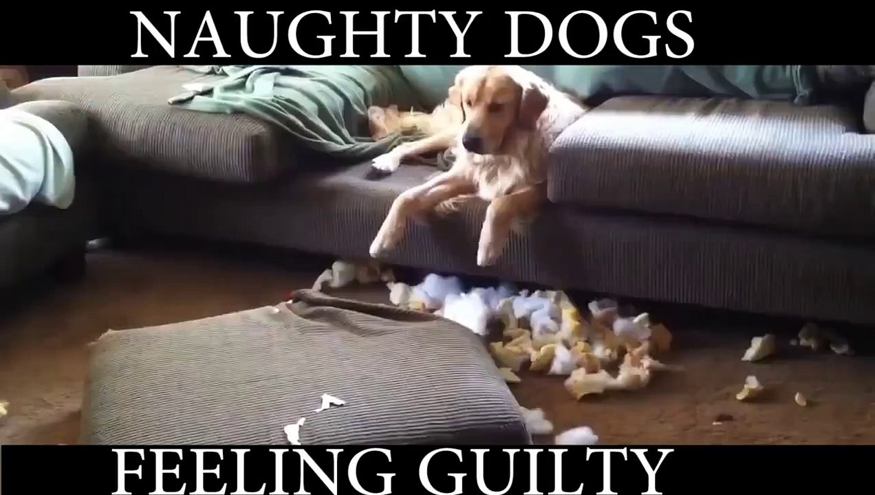 Naughty Dog