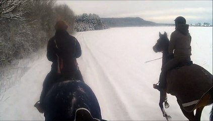 galops dans la neige