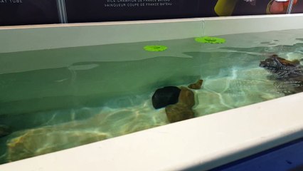 Sortie salon de Clermont-Ferrand