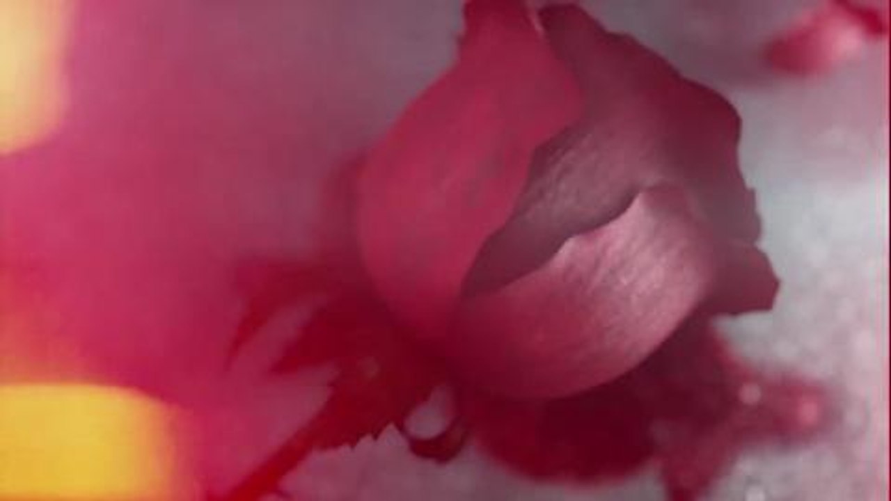Until Dawn - San Valentín