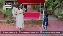 Watch Bulbulay Episode  228  18th January 2016 on ARY Digital
