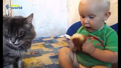 Kedi Besleyen Bebek Kedi 2014 2015 720P Hd
