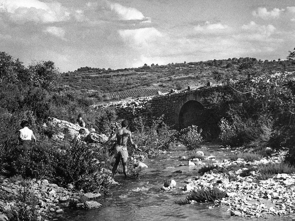 Carrières du bois des Lens