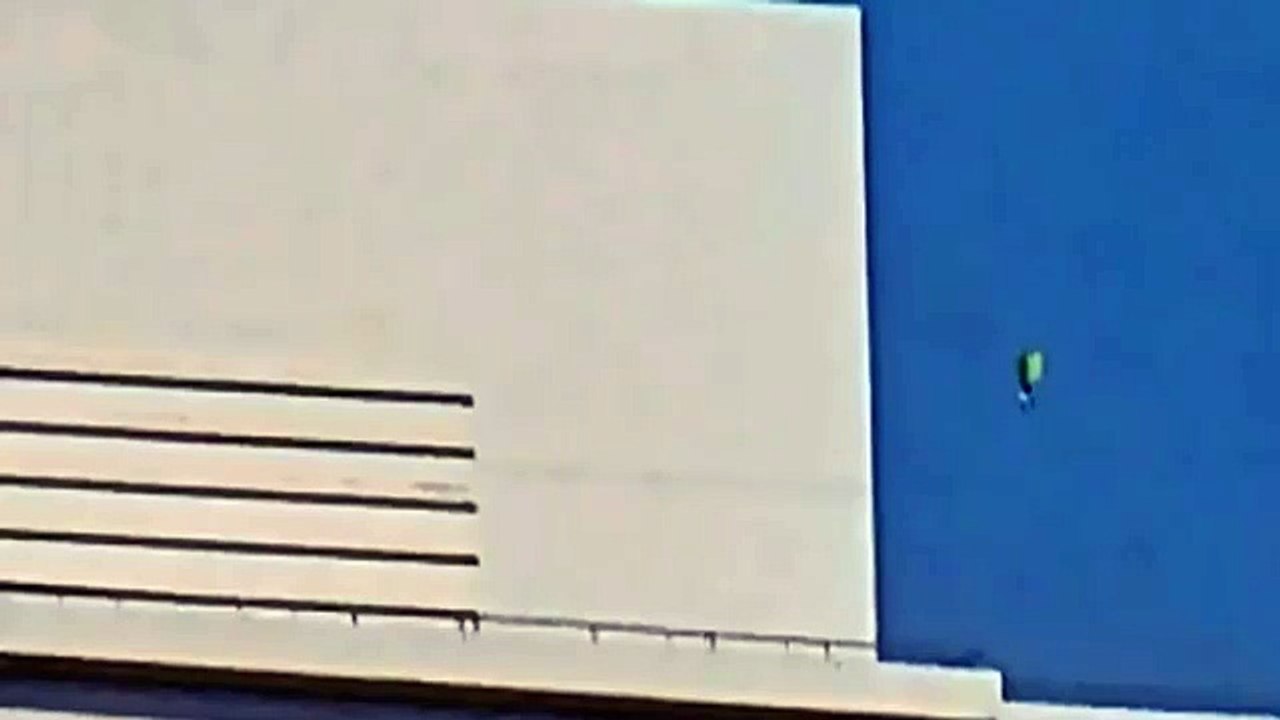 UFO or Flying Humanoid 1/1/2012 China Frame by Frame Analysis