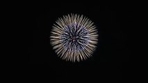 Japanese Fireworks (Hanabi) | Twin Ring Motegi | Awesome Fireworks Festival