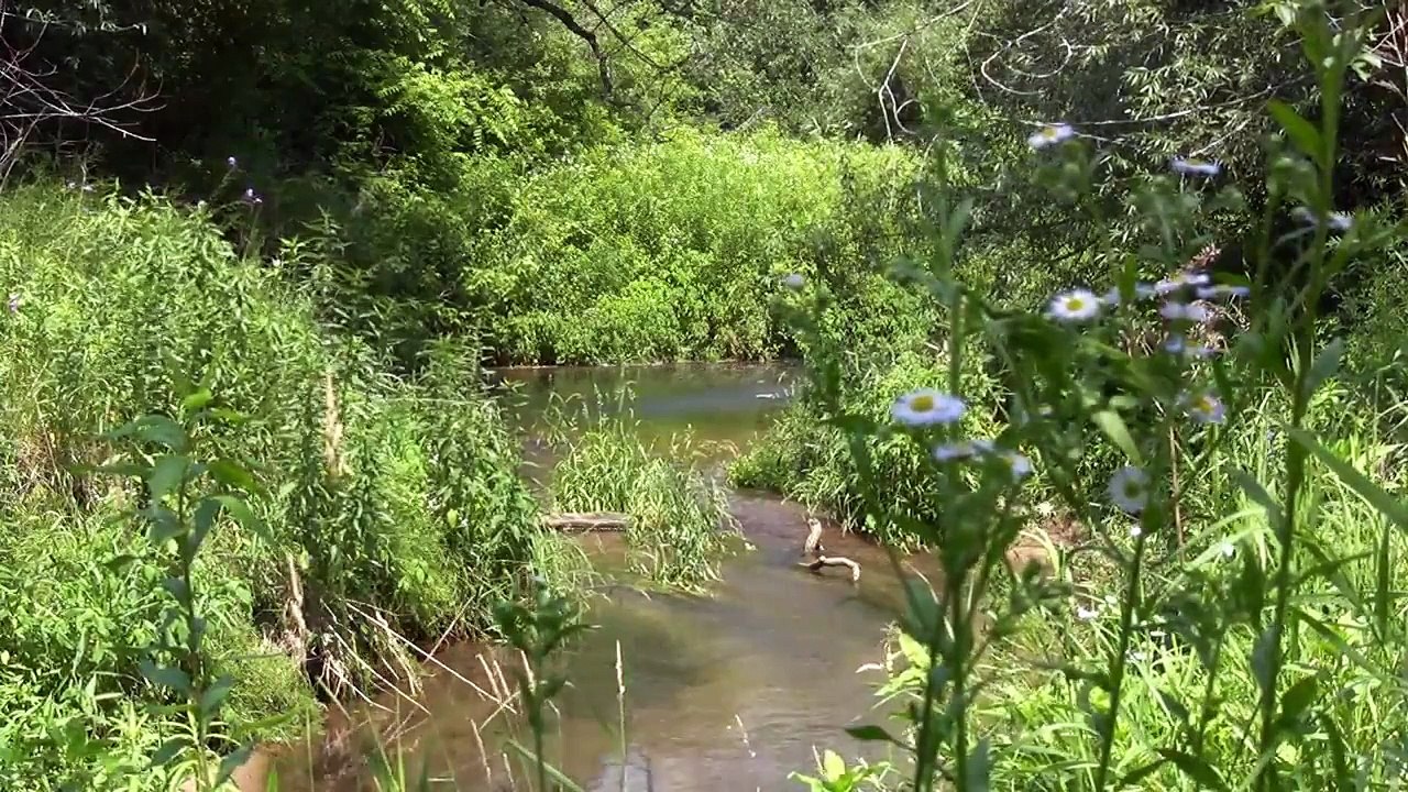 Relax - Grassy Creek