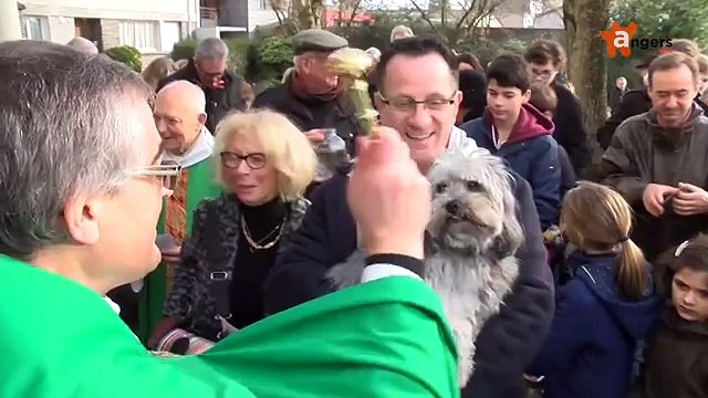 Bénédiction animaux angers