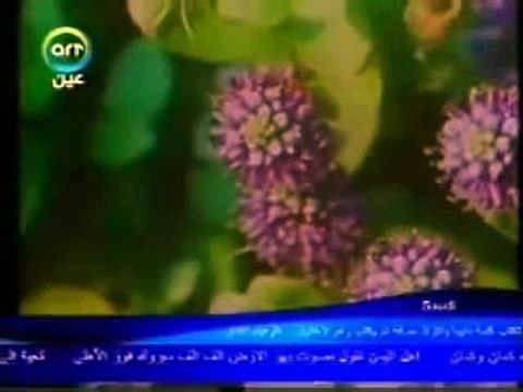 أسلحة البقاء| العلم والايمان | مصطفى محمود