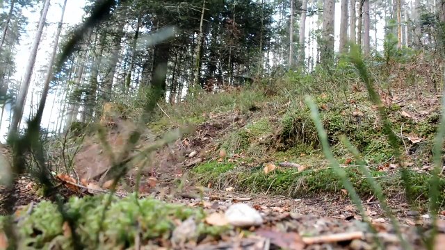 Descente & Enduro by Thibaut Vélo YT Industries & Lapierre !!!