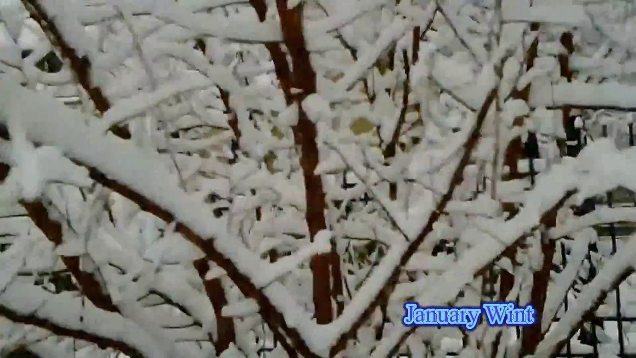 January Winter 2016