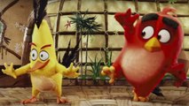 ANGRY BIRDS LA PELÍCULA. Teaser tráiler en español HD. Próximamente en cines.