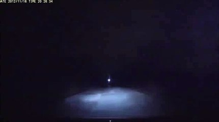 bear attacks deer in family backyard