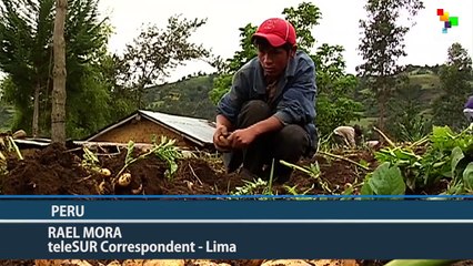 Peru's Ancestral Potatoes Heading for Mars