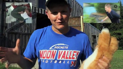 Котофизика: почему кошки приземляются на лапы?