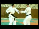 KARATE UECHI-RYU KARATE DO D'OKINAWA Vol. 1