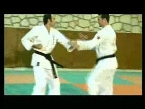 KARATE UECHI-RYU KARATE DO D'OKINAWA Vol. 1