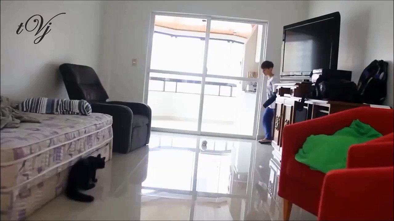 Cat as Manuel Neuer !