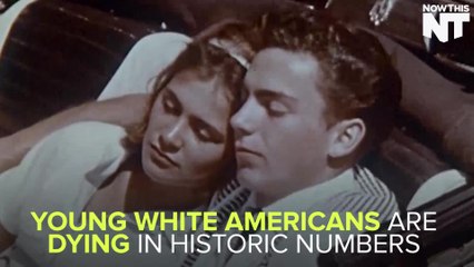Young White Americans Are Dying In Historic Numbers Due To The Opiate Crisis