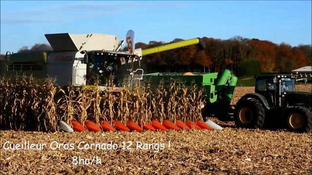NEW Claas Lexion PreSeries 2015 | Corn Harvest in 12 ROWS Oros !
