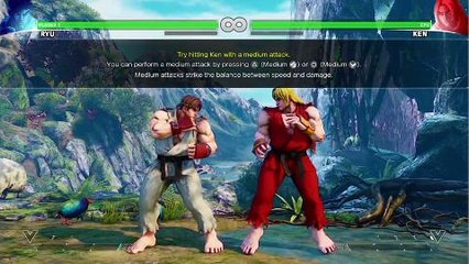 Street Fighter V Tutorial