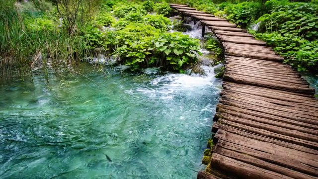 15 Minute Meditation Music Relax Mind Body: Nature Sounds, Healing Music, Relaxing Music ✿