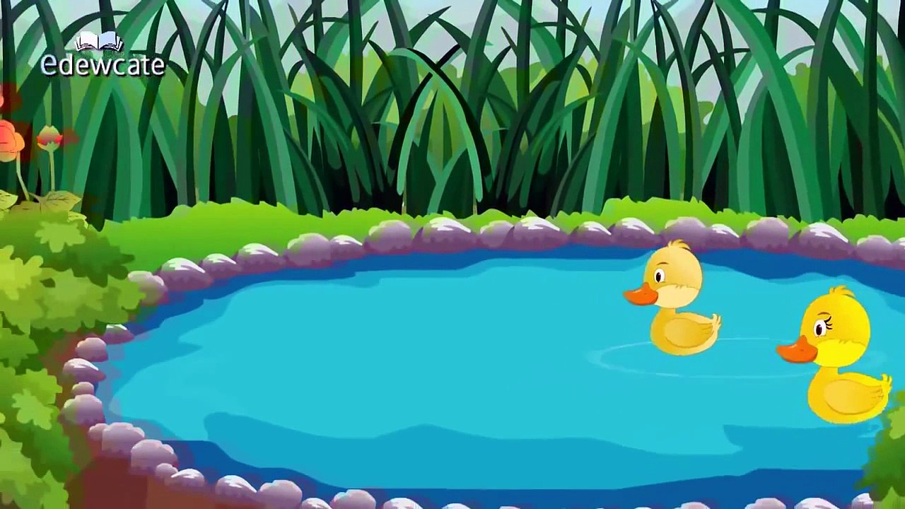 Edewcate Rhymes Collection Wheels on the Bus Five Little Ducks Vol 1 Dailymotion Video